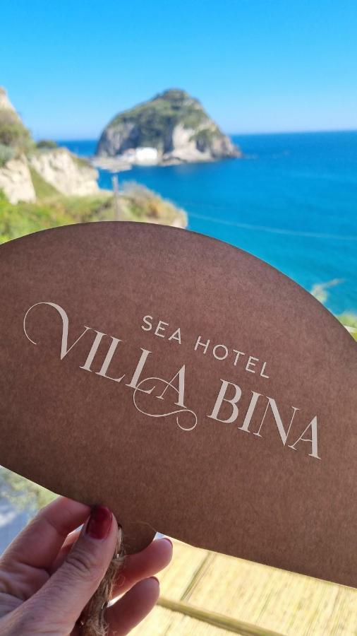 Villa Bina Sea Hotel Sant'Angelo  المظهر الخارجي الصورة